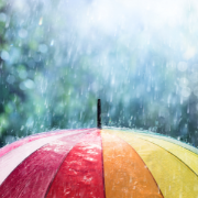 Umbrella in rain